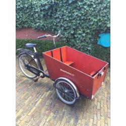 Bakfiets 5 versnellingen ZGAN