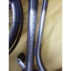 fits batavus