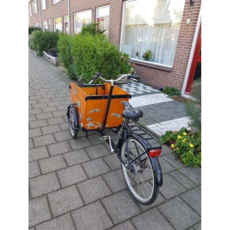 Babboe big bakfiets.