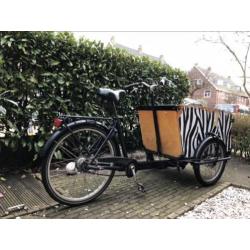 Babboe big bakfiets