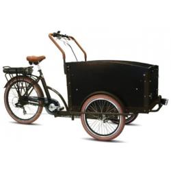 Budel: Troy elektrische bakfiets driewieler elektrisch fiets