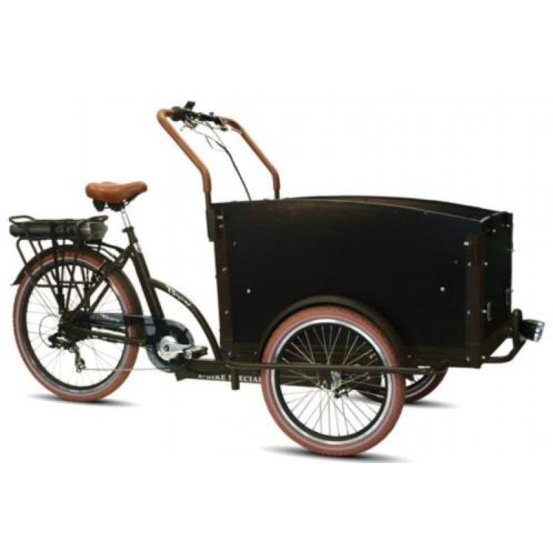 Budel: Troy elektrische bakfiets driewieler elektrisch fiets