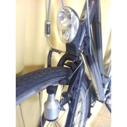fits batavus