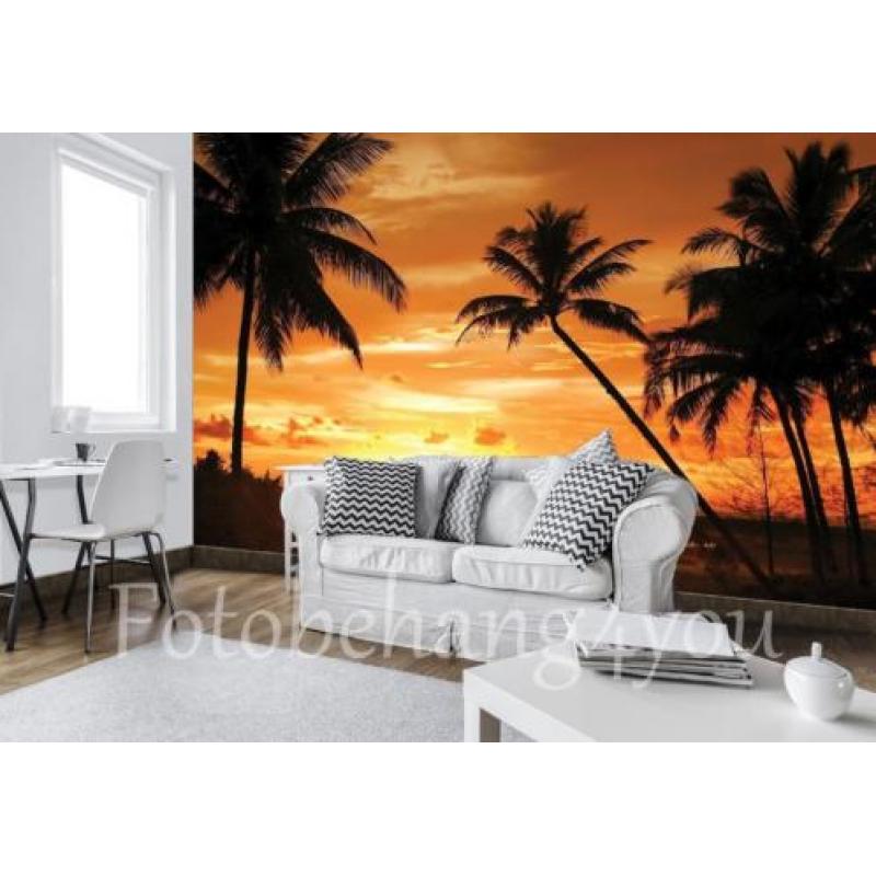 Palmen fotobehang zonsondergang, Palmbomen. Fotobehang4you