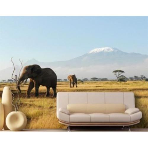 aanbieding Fotobehang 400x280cm afrika olifant voor €45