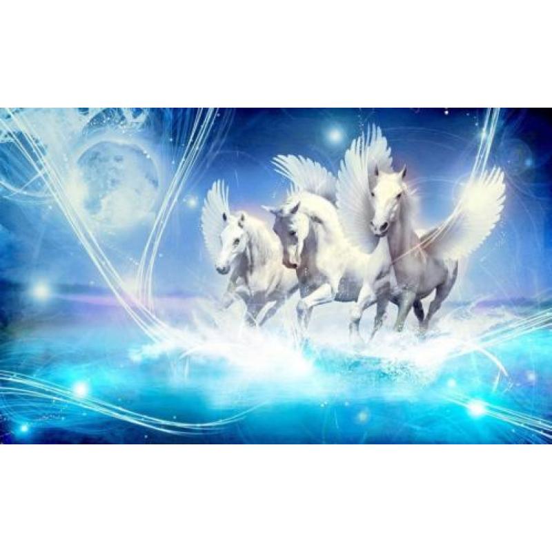 Paarden fotobehang L Pegasus roze Paarden behang *Muurdeco4