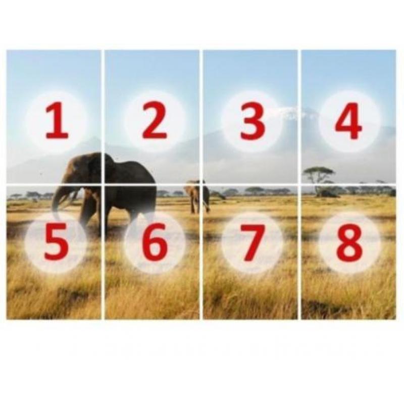 aanbieding Fotobehang 400x280cm afrika olifant voor €45