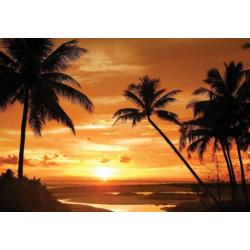 Palmen fotobehang zonsondergang, Palmbomen. Fotobehang4you