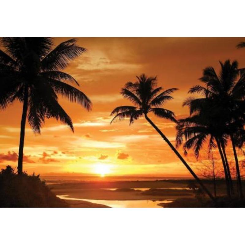 Palmen fotobehang zonsondergang, Palmbomen. Fotobehang4you