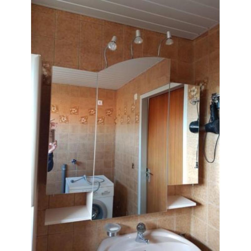 Spiegelkast badkamer