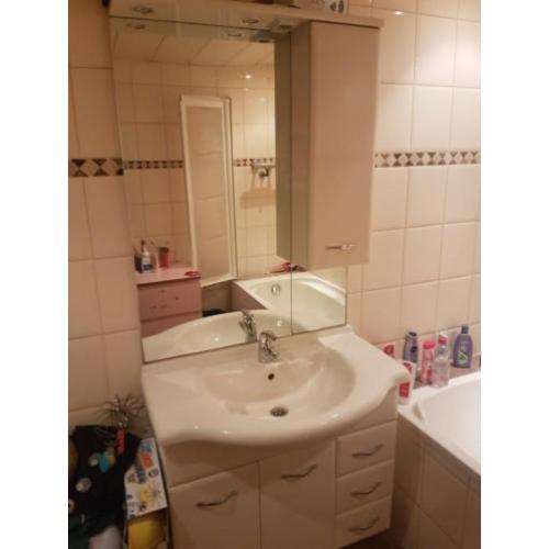 Badkamermeubel incl spiegel en kraan