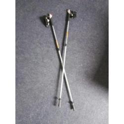 Nordic walking stokken