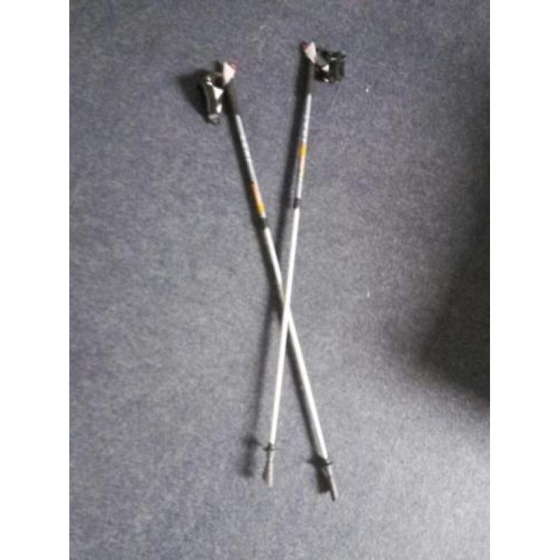 Nordic walking stokken